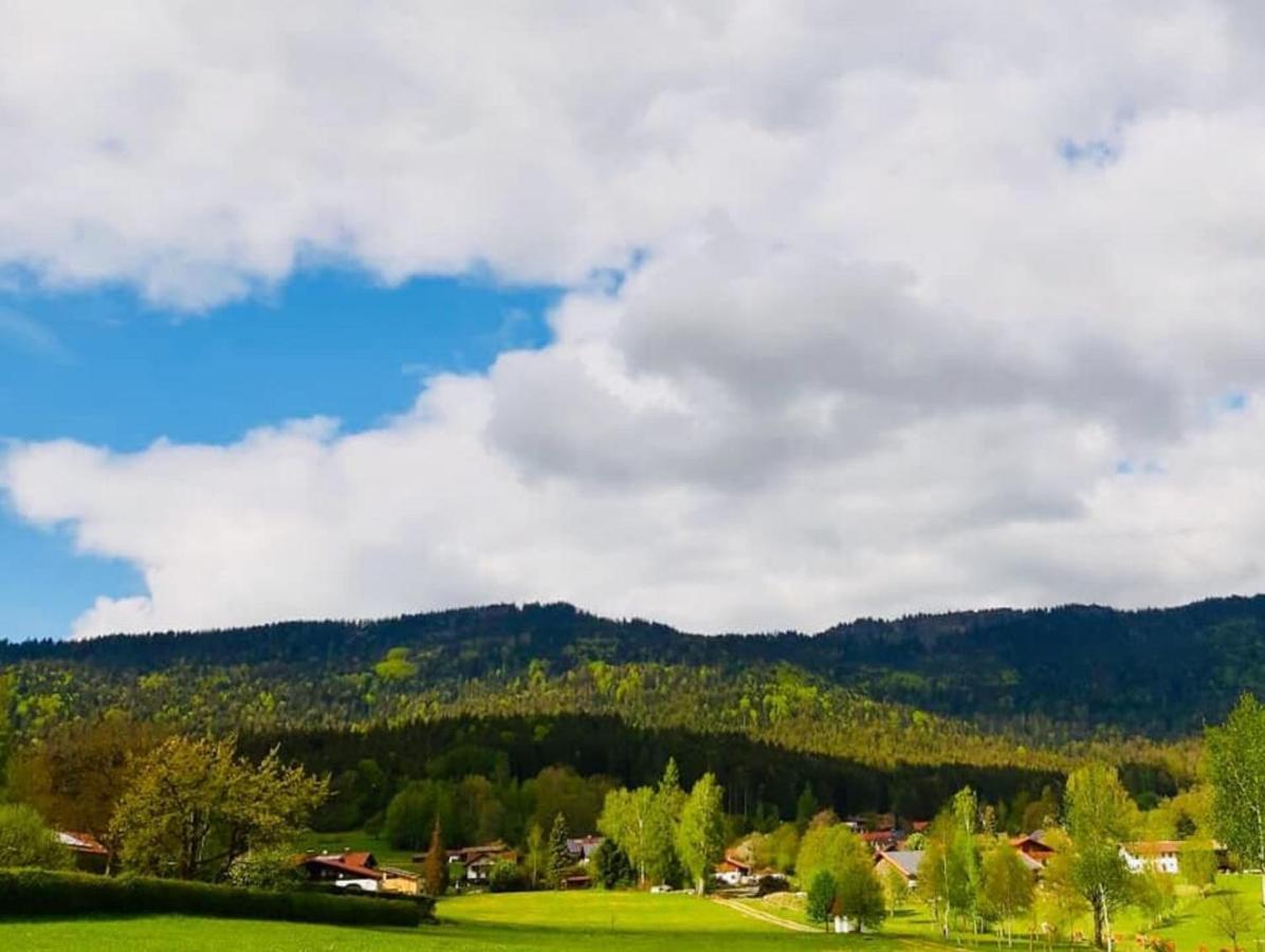 Steinbuehler Hof - Stressfrei Am Lande Hotell Kötzting Exteriör bild